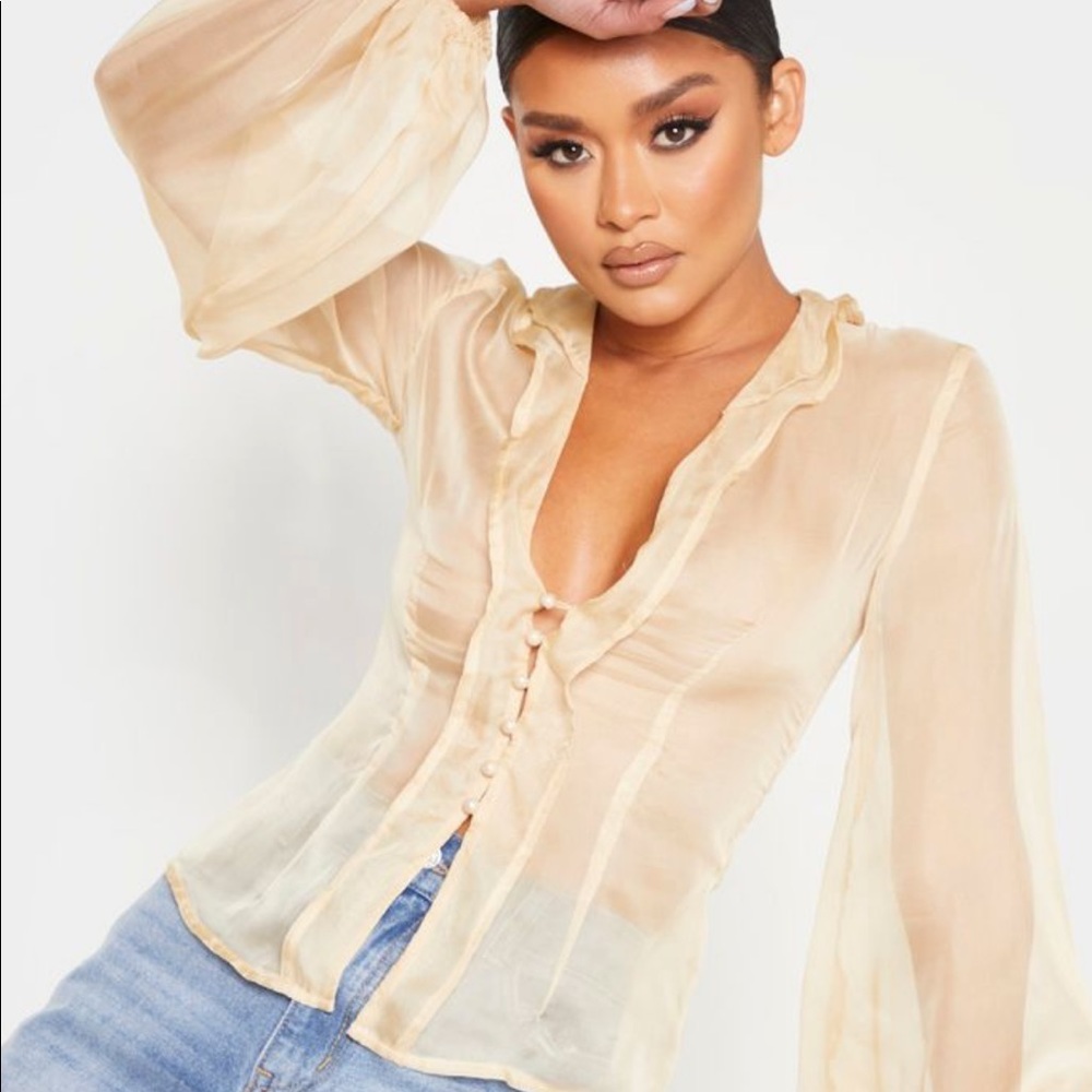 Sheer Ruffle Organza Shirt